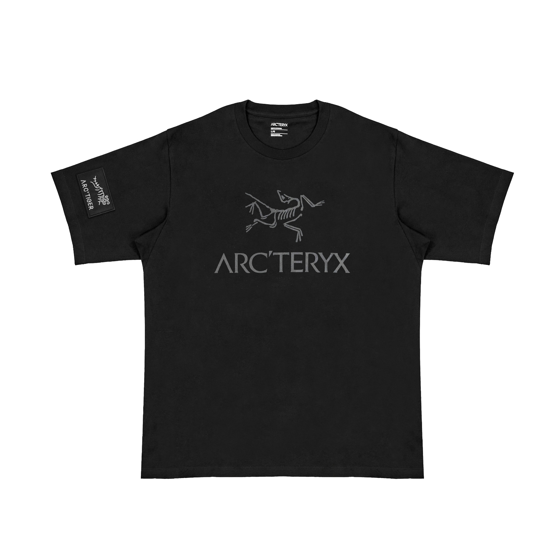 Футболка Arcteryx IONIA ARC'WORD Logo T