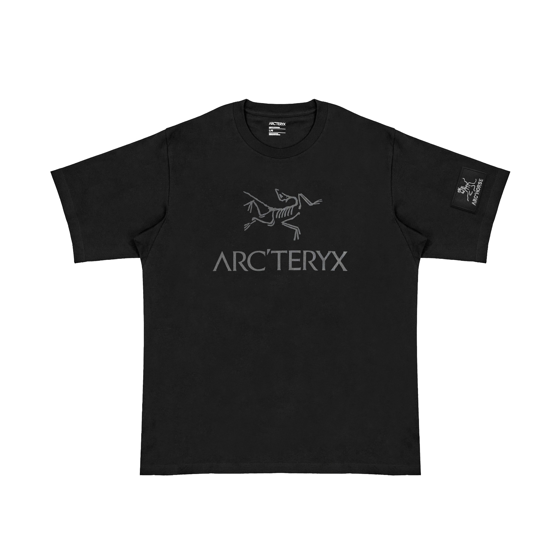 Футболка Arcteryx IONIA ARC'WORD Logo T