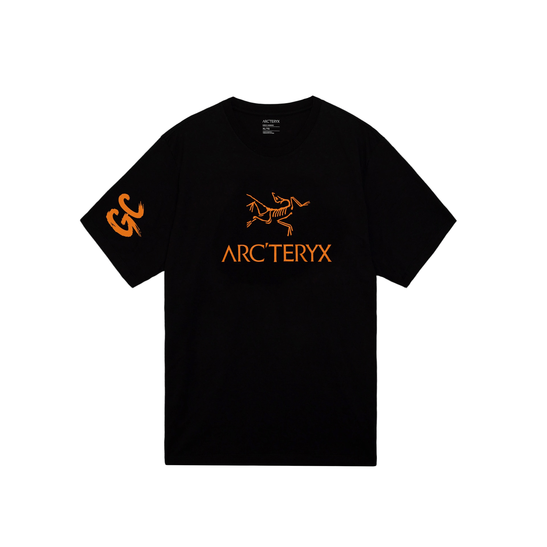 Футболка Arcteryx IONIA LOGO T