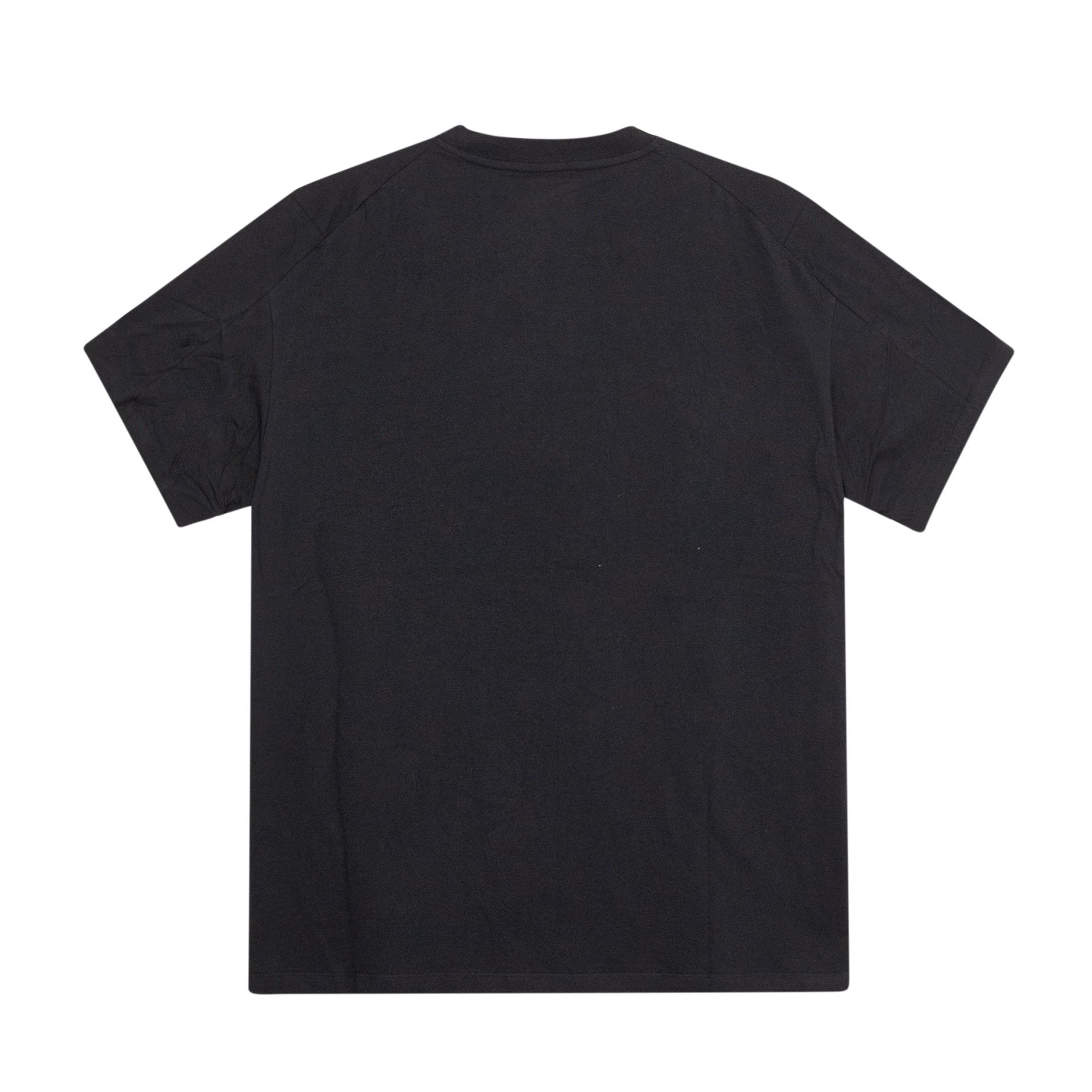 Arcteryx Fantasy T Black — фото 7
