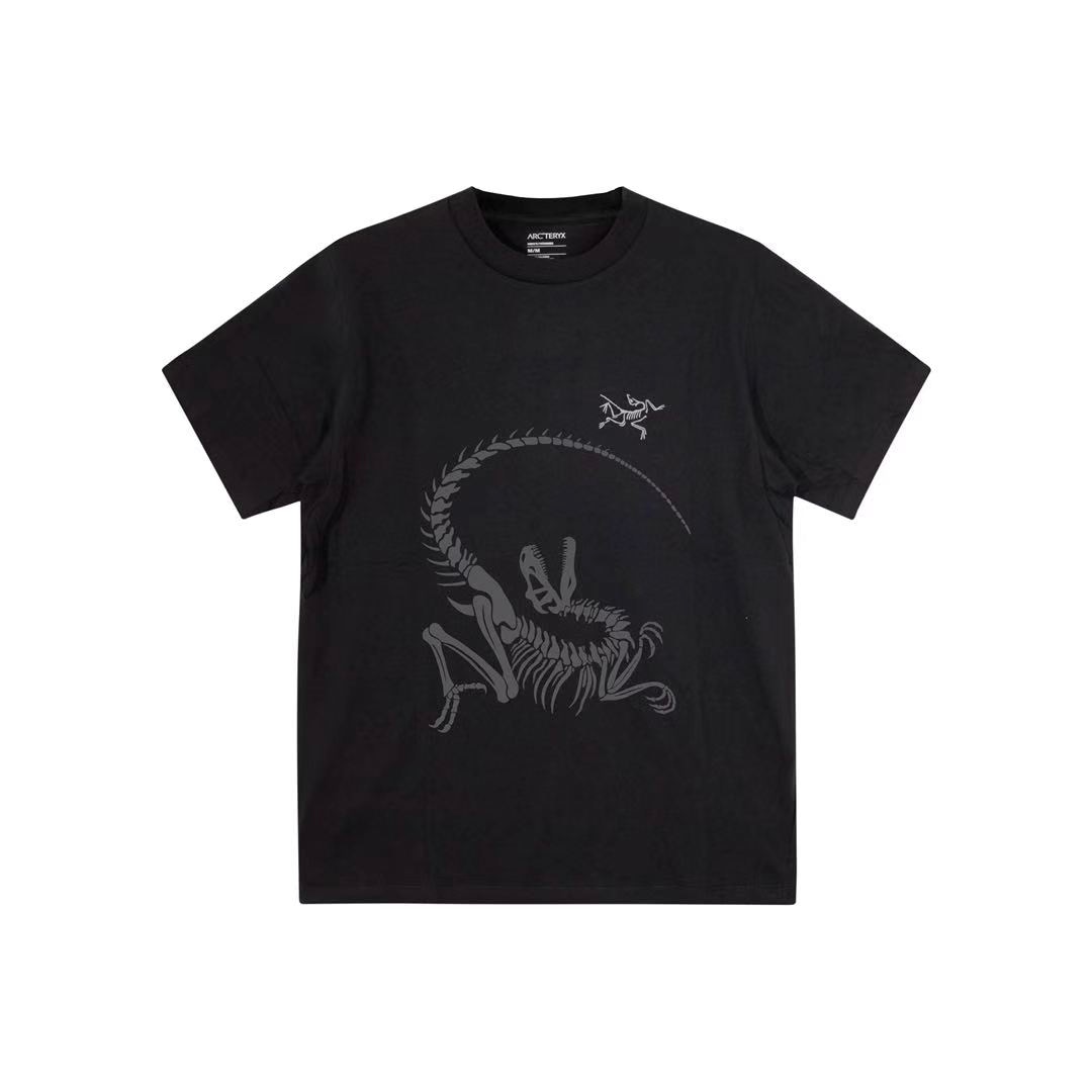 Футболка Arcteryx KRAGG Logo T