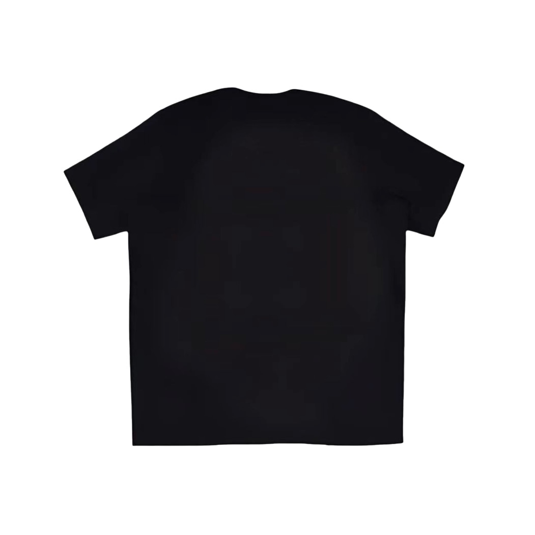 Arcteryx KRAGG Logo T — фото 2