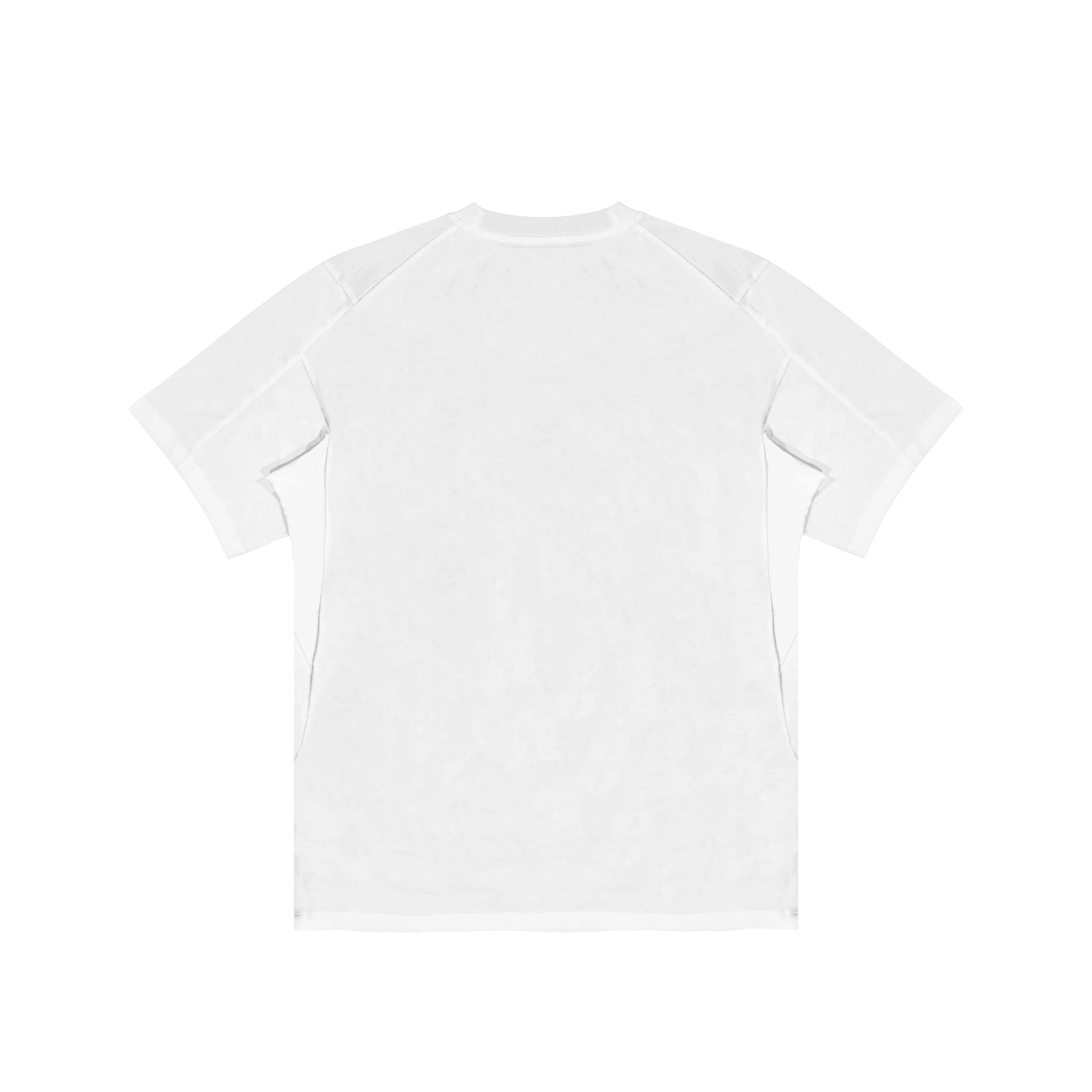 Arcteryx Fantasy T White — фото 7