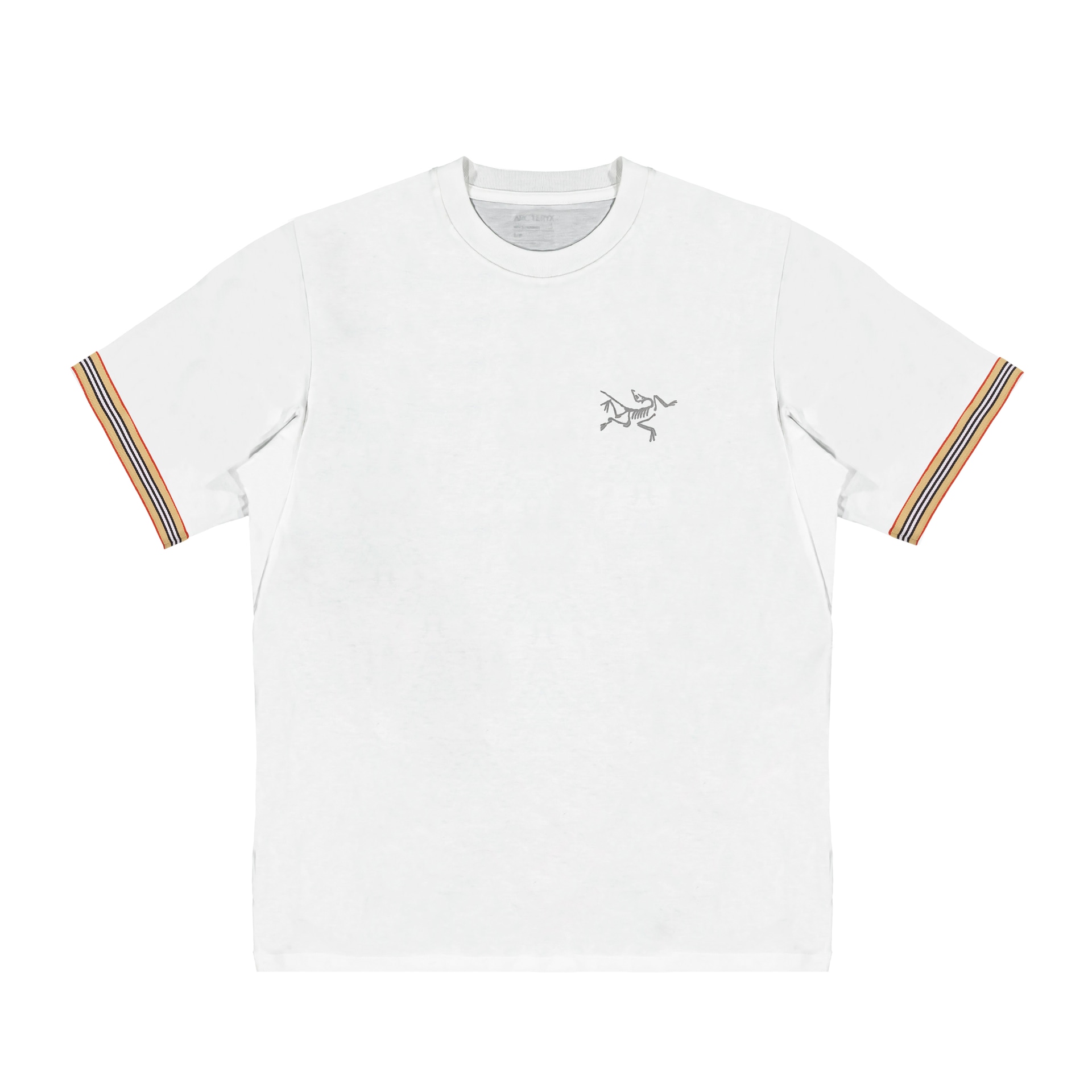 Футболка Arcteryx Fantasy T White