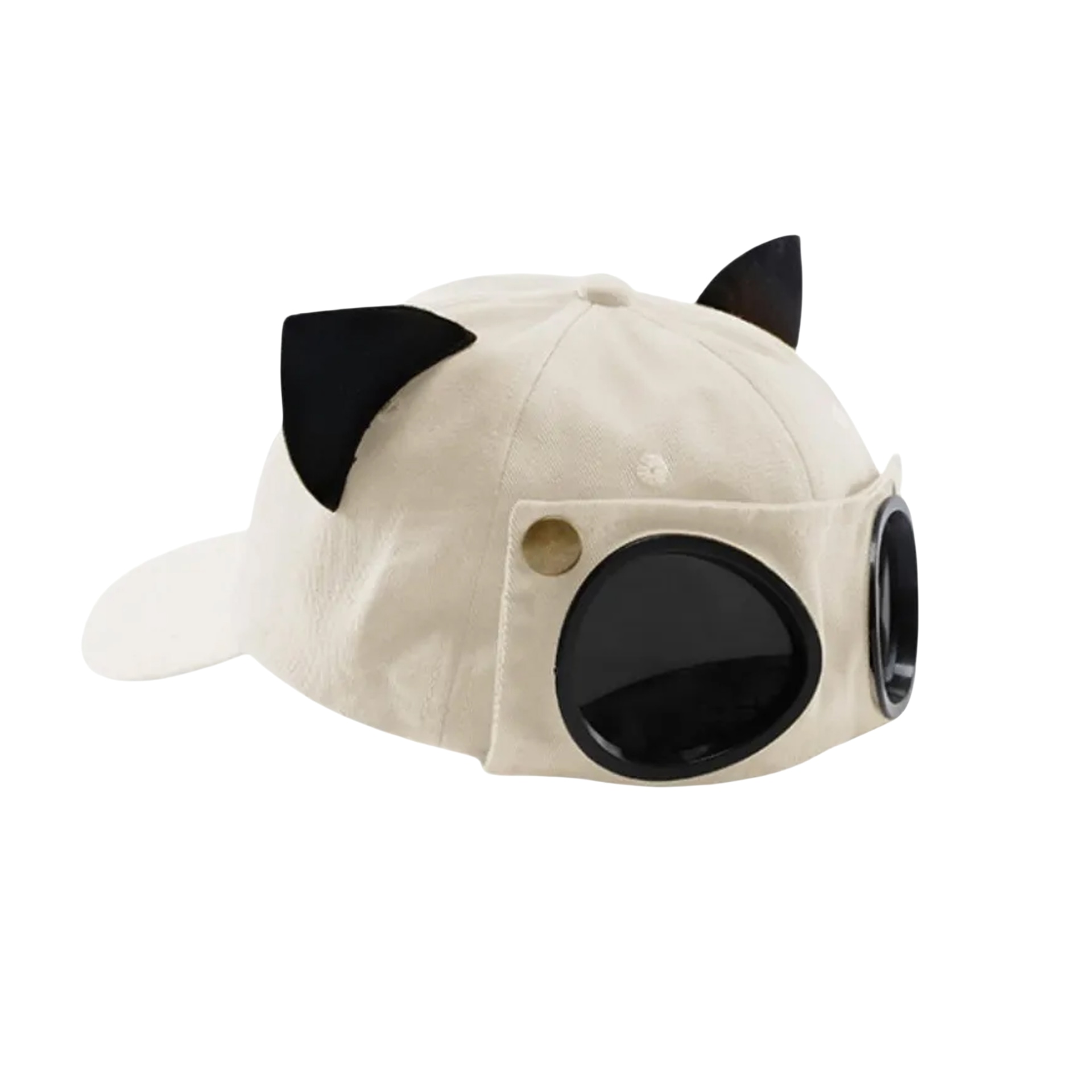 PLAN IN Pilot Hat