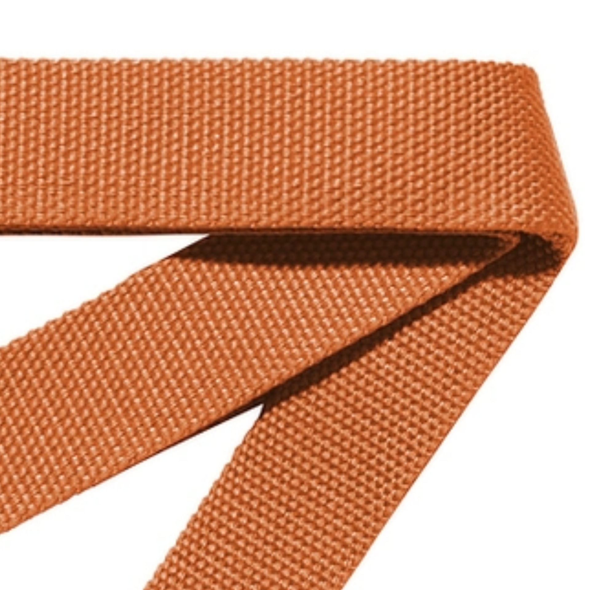 Carhartt WIP Classic Logo Belt — фото 5