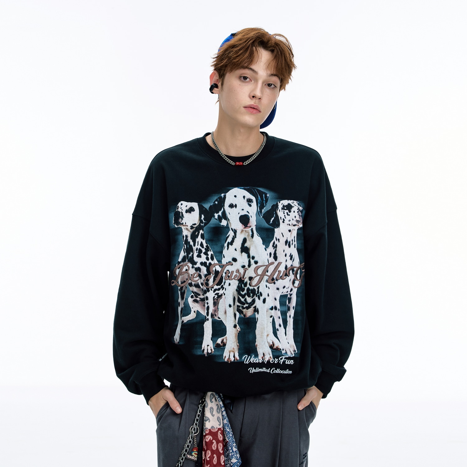 Bjhg Casual Spot Dog Print Sweatshirt — фото 3