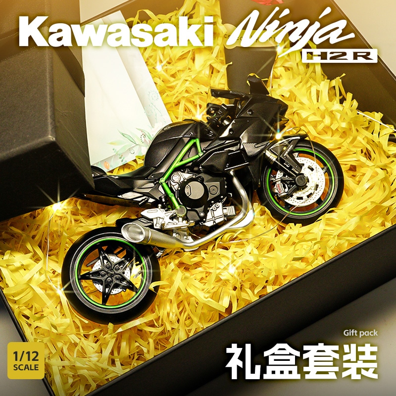 成真 x Kawasaki 112 H2R Ninja — фото 1