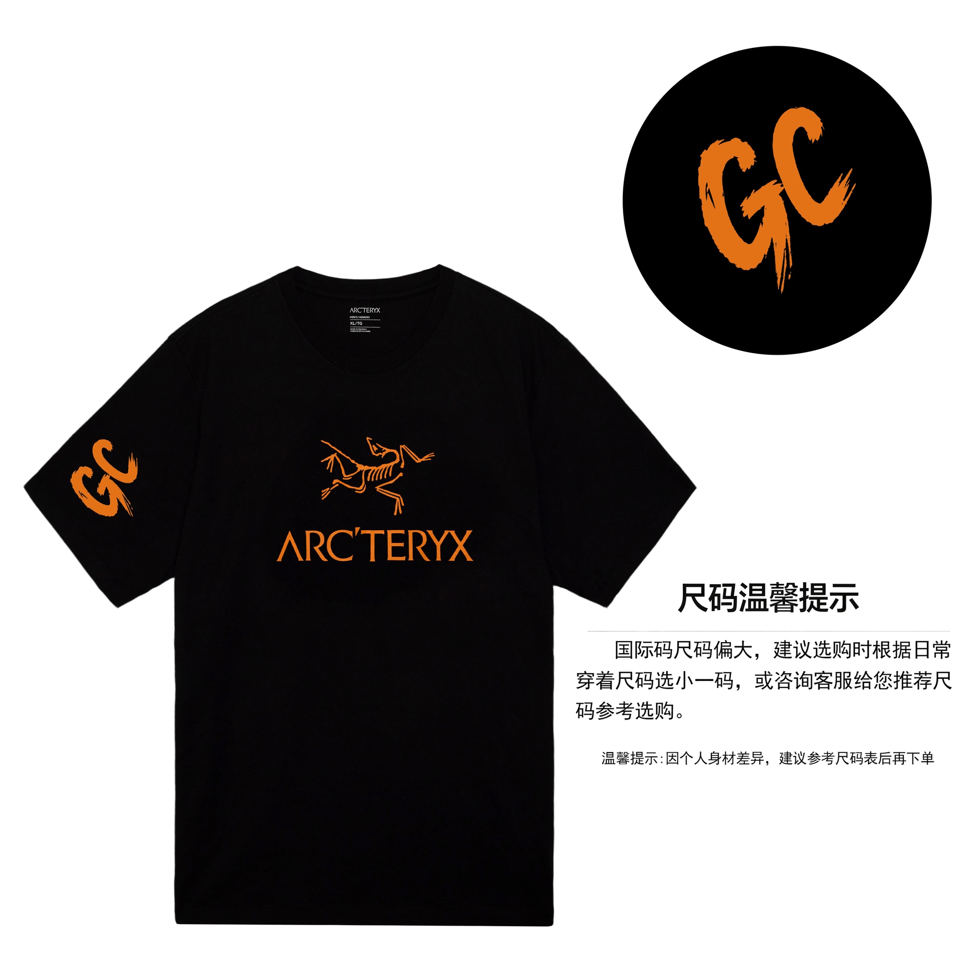 Arcteryx IONIA LOGO T — фото 1
