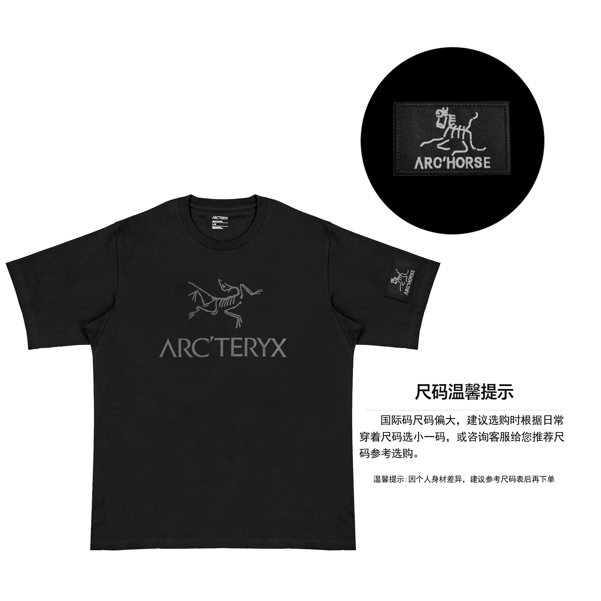 Arcteryx IONIA ARC'WORD Logo T — фото 1