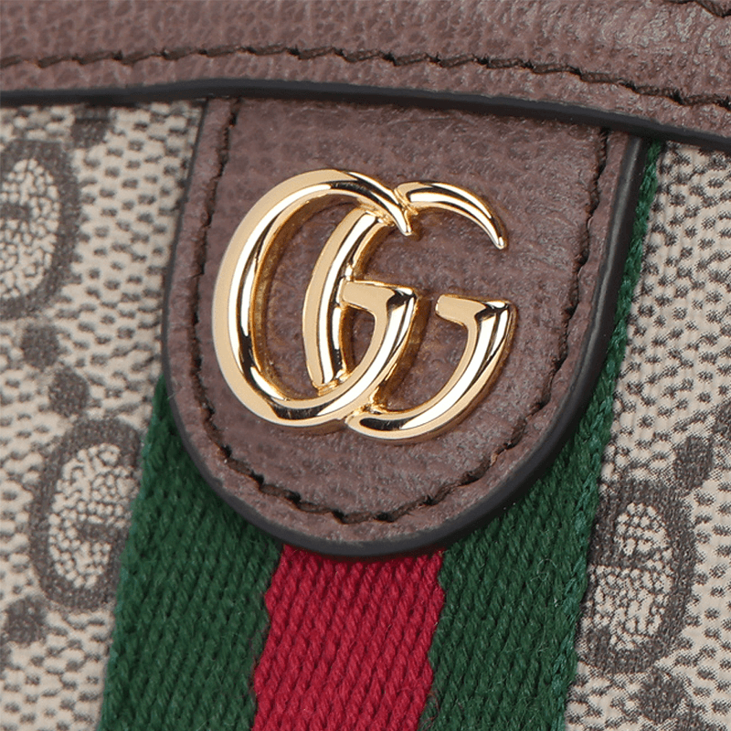 Gucci Ophidia Logo — фото 4
