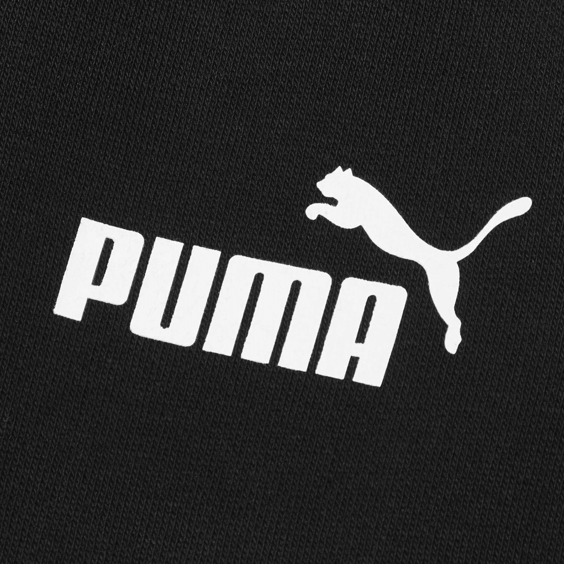 Puma Amplified Sweatpants FL G Logo — фото 2