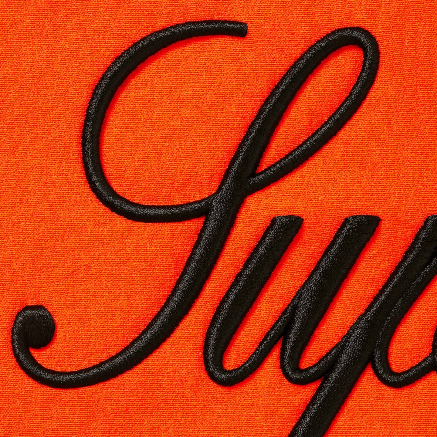 Supreme FW24 Embroidered Script Hooded Sweatshirt — фото 9