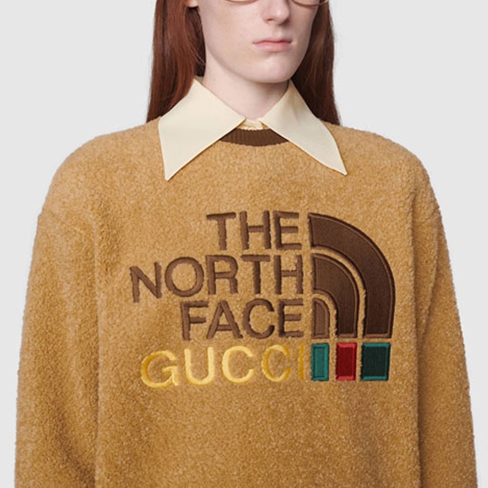 Gucci x The North Face Logo Embroidered Sweatshirt Brown — фото 5