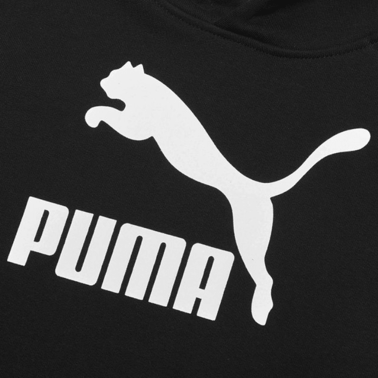 Puma Sweat capuche Classics Logo enfant et adolescent — фото 3