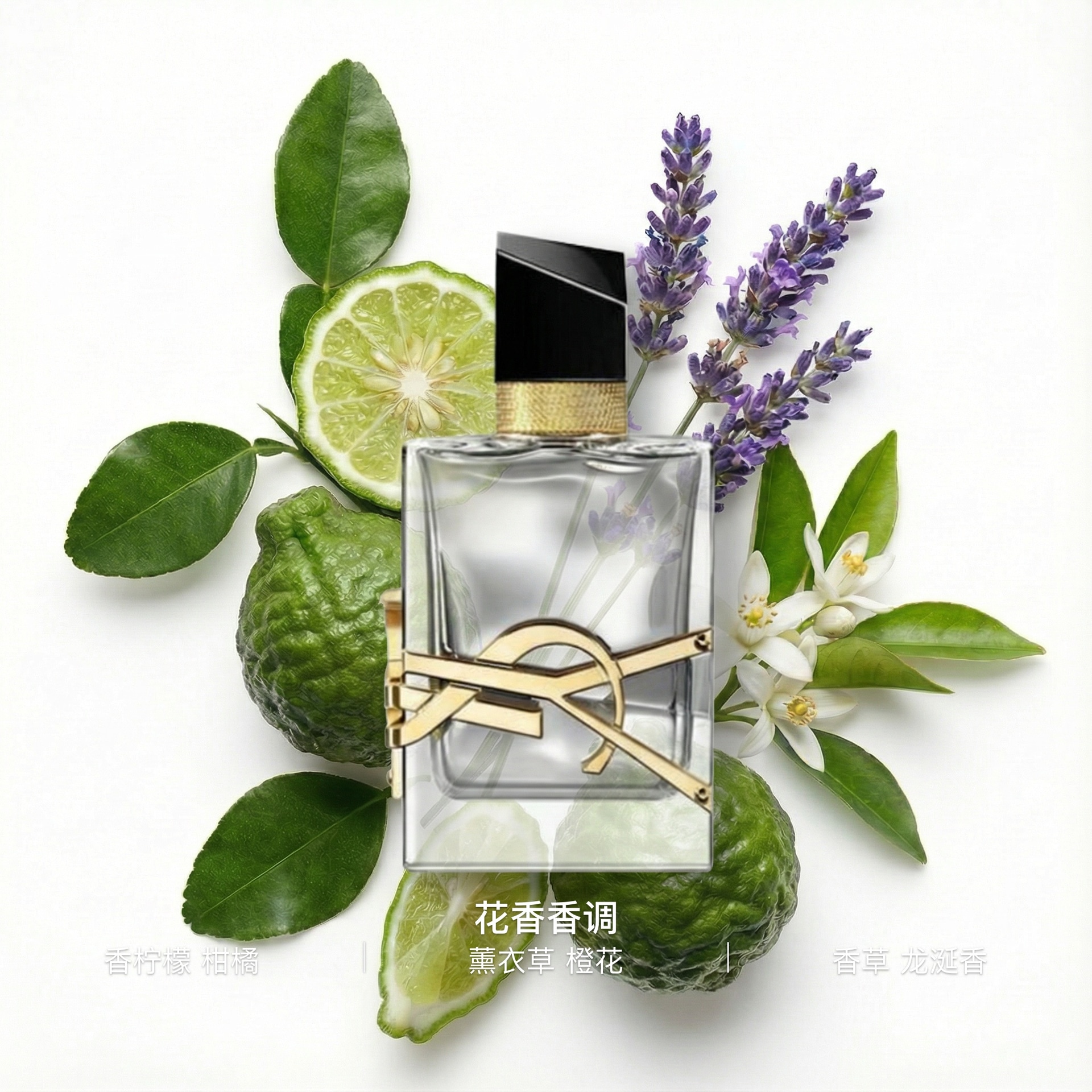 Saint Laurent YSL Platinum Territory 2023 Parfum — фото 7