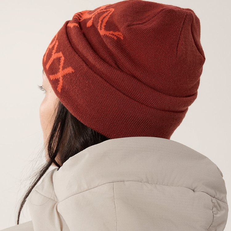 Arcteryx Beanie — фото 1