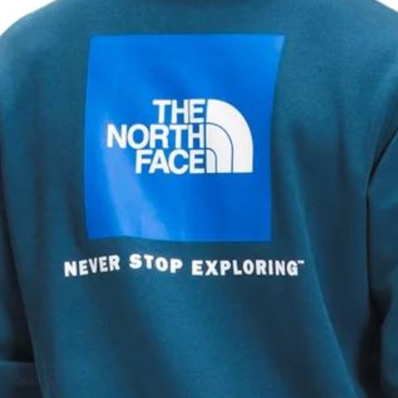 The North Face Logo — фото 2
