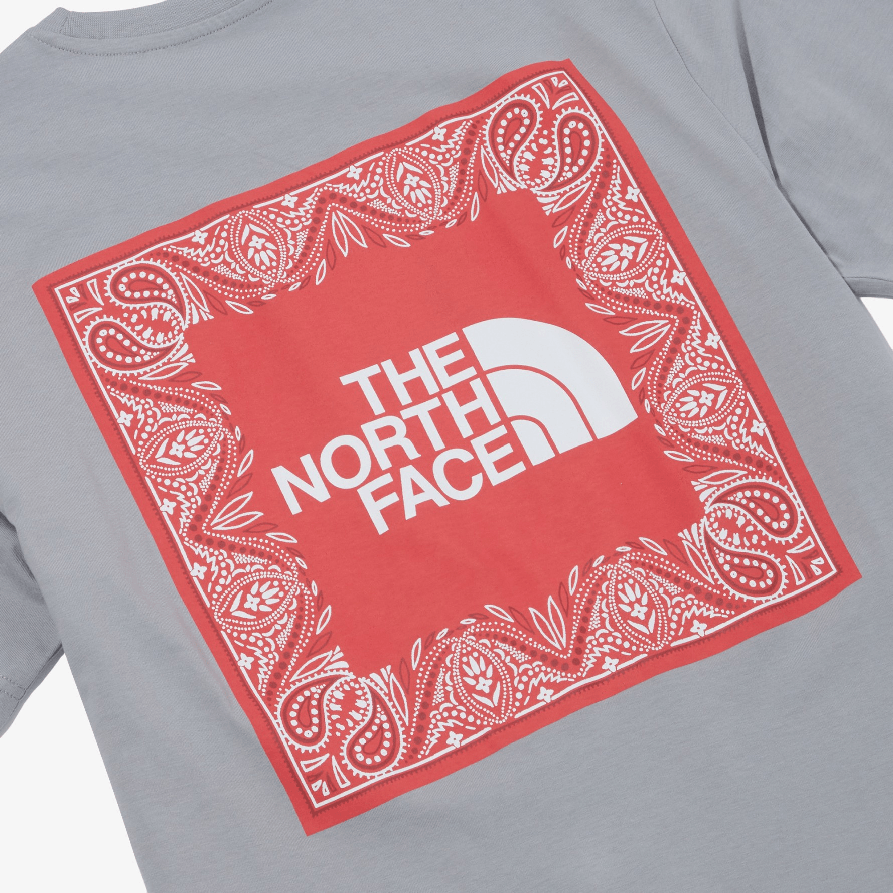 The North Face Nse Bandana S/s R/tee — фото 5