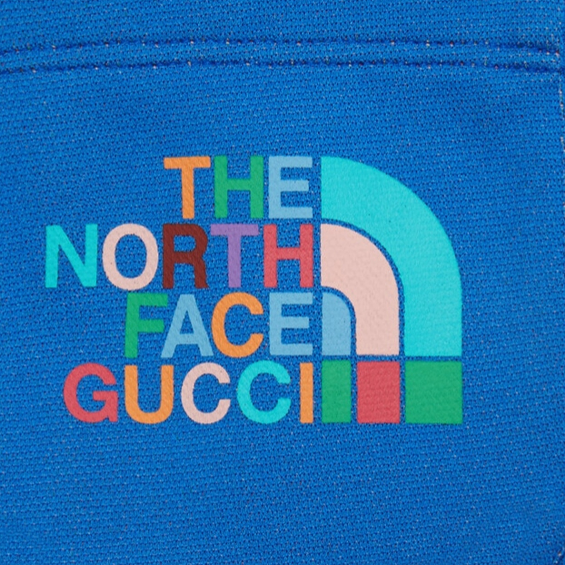 Gucci x THE NORTH FACE — фото 5