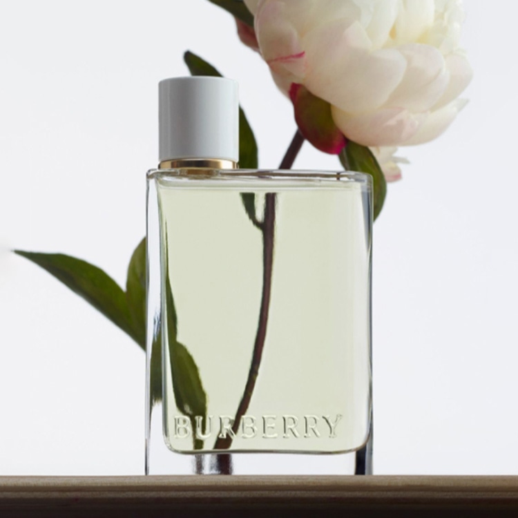 Burberry EDT 10ml30ml50ml — фото 9