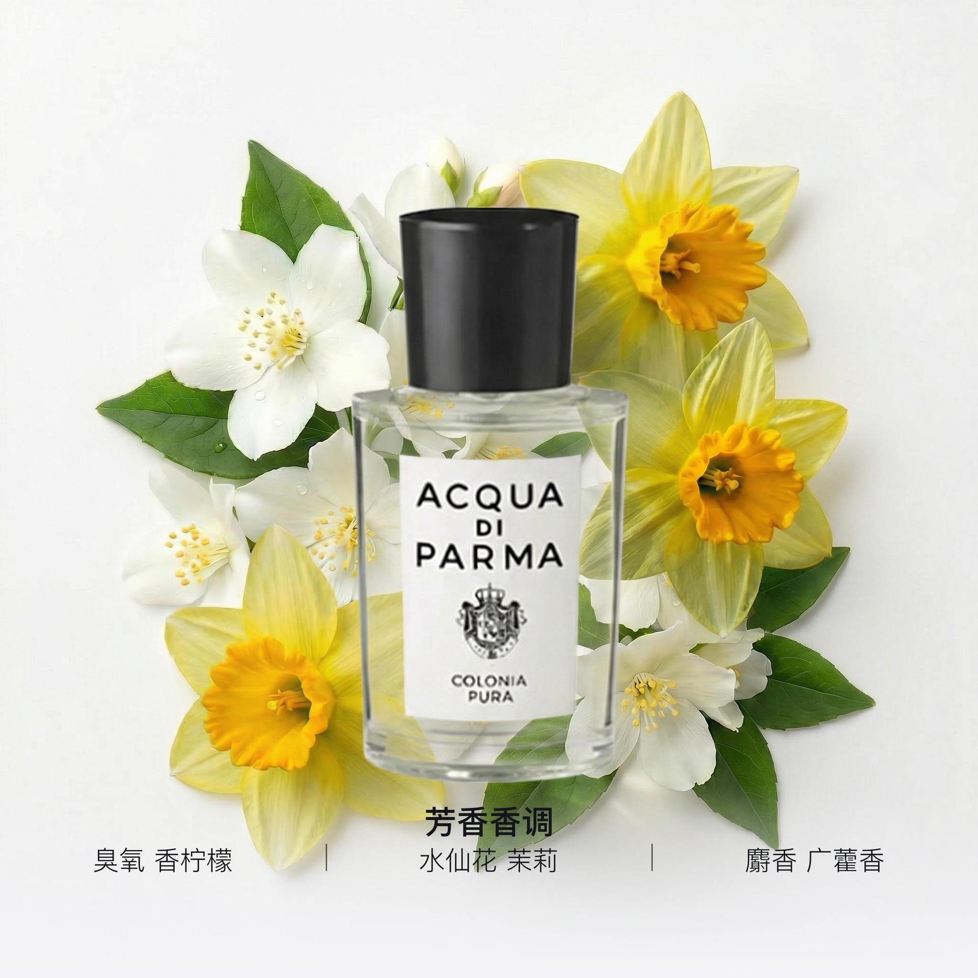 Acqua Di Parma EDC 20ml50ml100ml180ml — фото 1