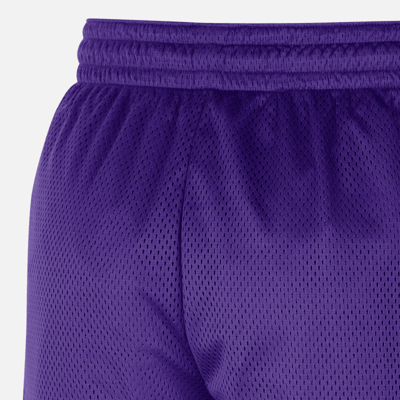 Nike Lakers NBA Shorts Purple — фото 3