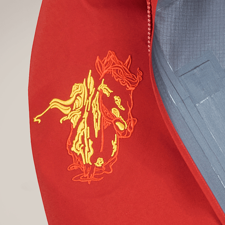 Arcteryx RUSH JACKET - YEAR OF THE HORSE GTX — фото 5