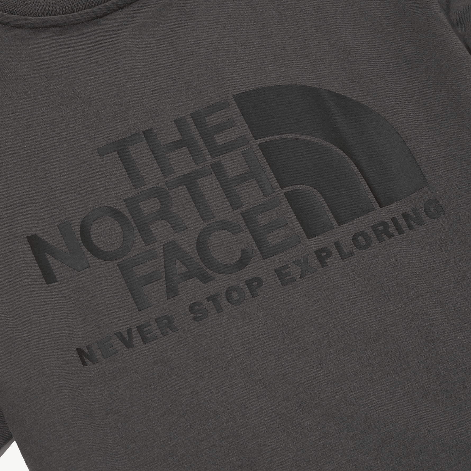 The North Face Cotton Logo Ss Rtee Logo T — фото 2