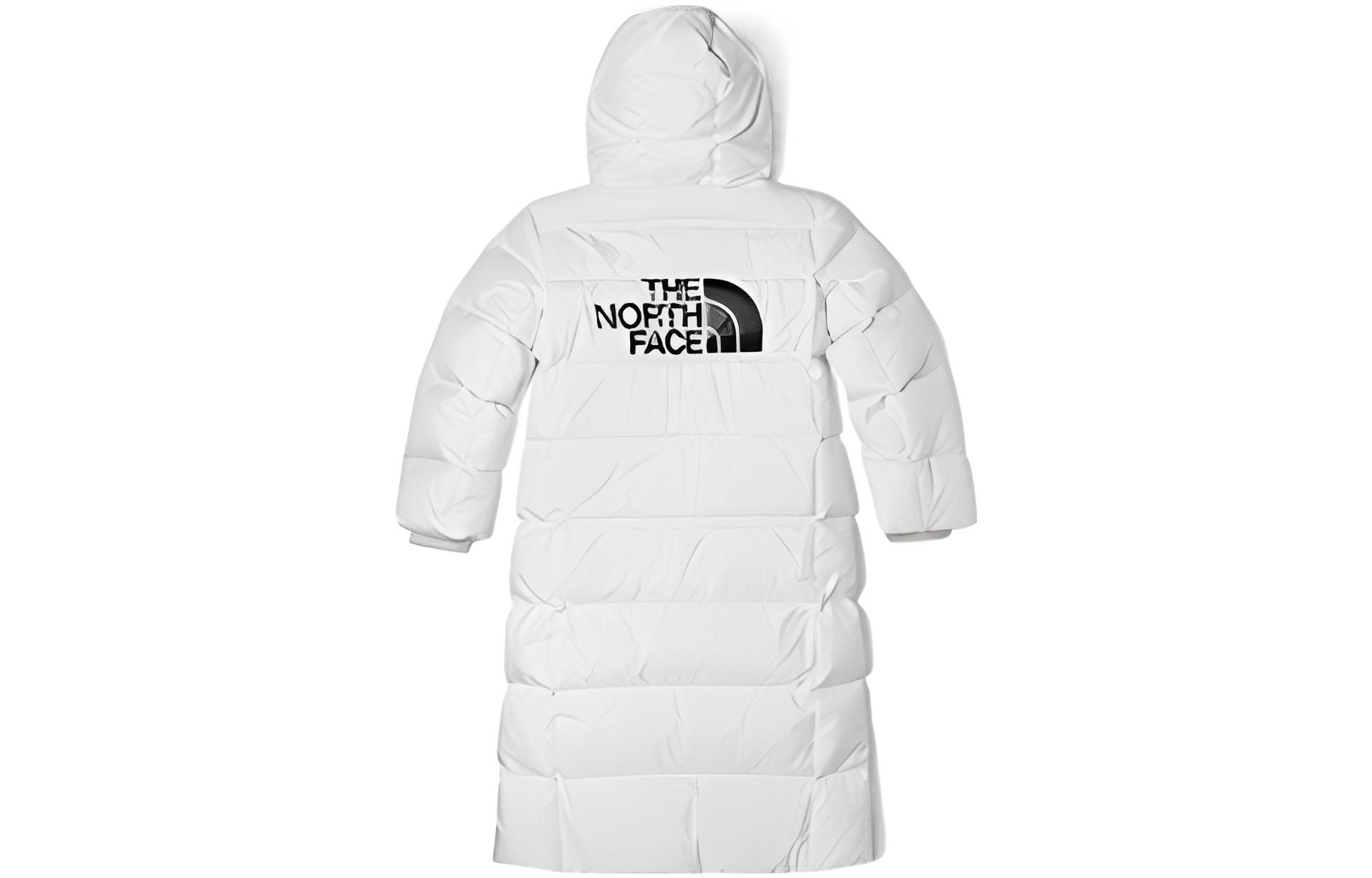 The North Face FW22 Logo — фото 2