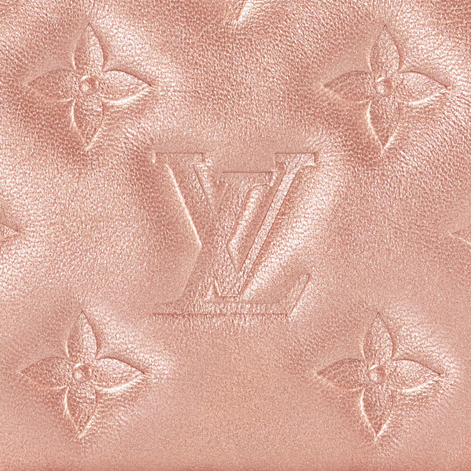 Louis Vuitton Coussin BB — фото 5