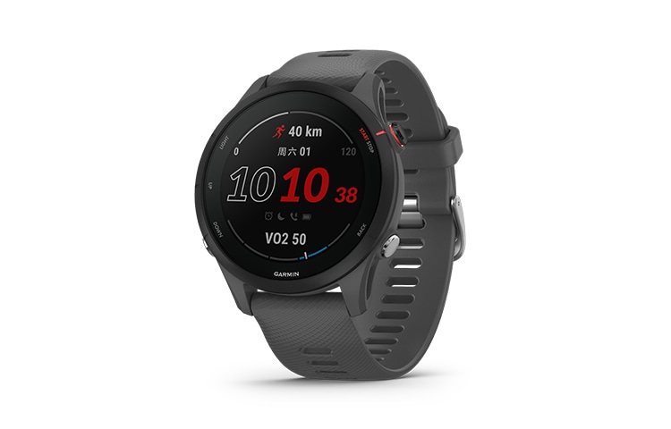 Garmin Forerunner 255 Mysterious Grey — фото 4