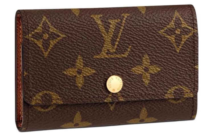 Сумки Louis Vuitton LV6