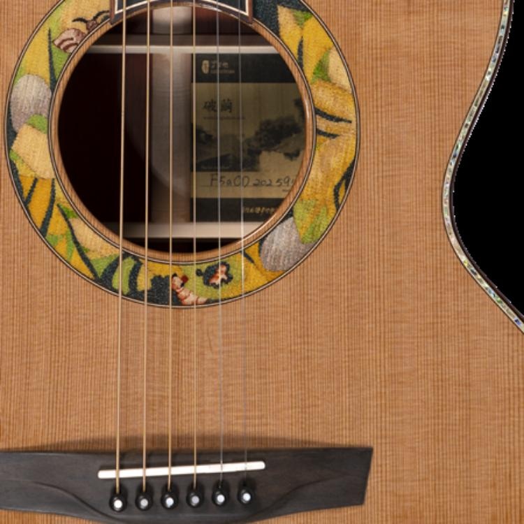 李吉他 LEE GUITARS LEE GUITARS () (FCD) — фото 1