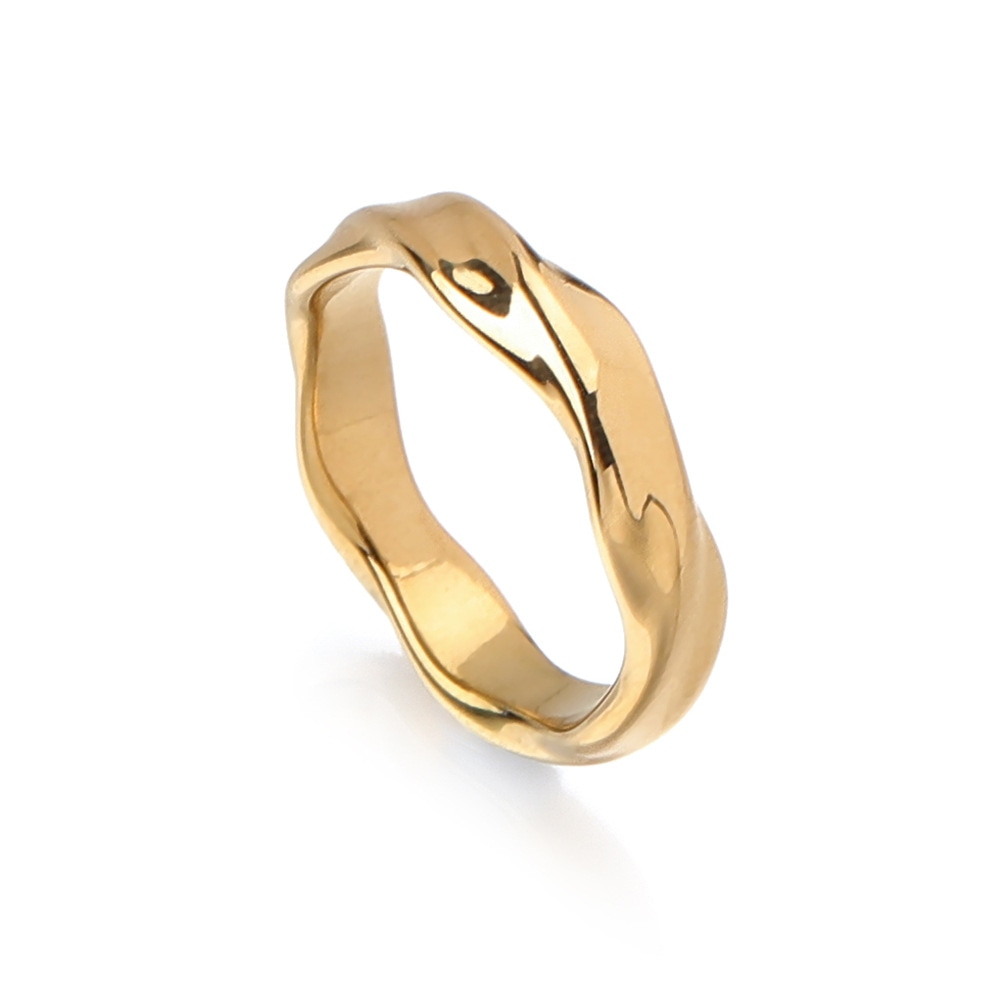 Dwcp Mobius Titanium Steel Ring — фото 1