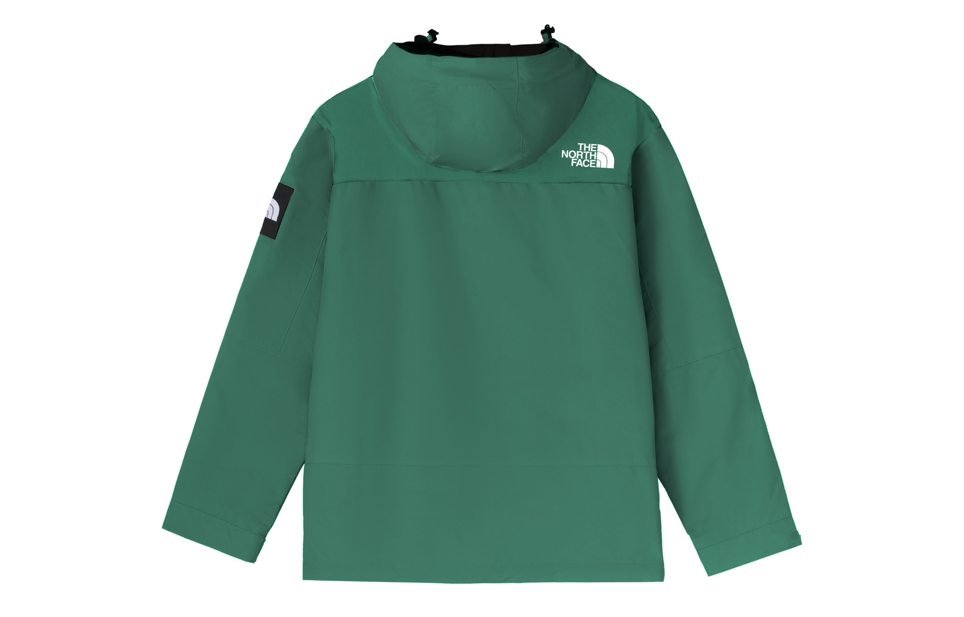 The North Face DryVent Jacket Green — фото 1