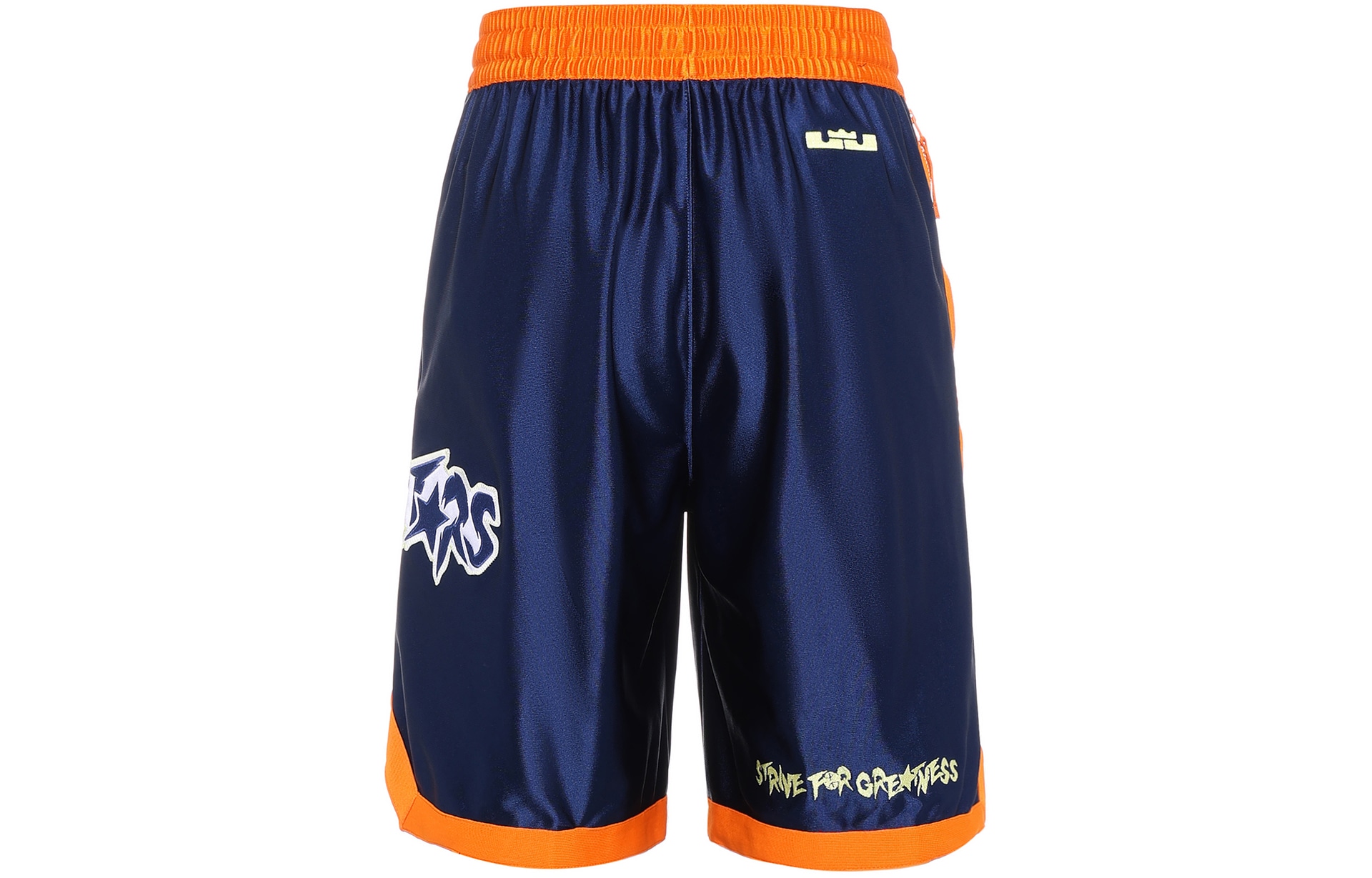 Nike LeBron x Monstars DNA Shorts — фото 3
