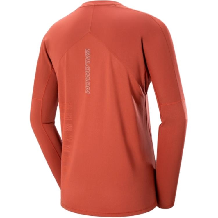 Salomon SENSE AERO RUNNING LS TEE GFX M T — фото 1