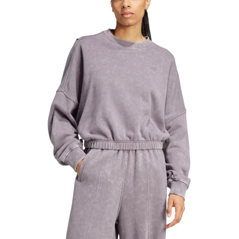 Adidas Originals Premium Essentials Washed FW24 Crewneck Sweatshirt Gray — фото 1