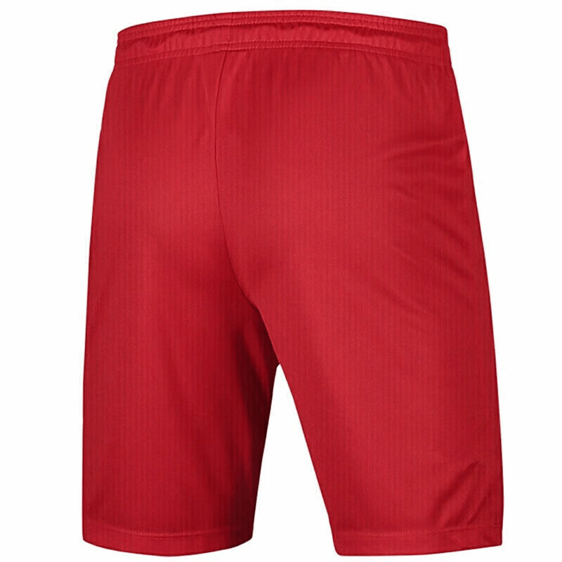 Nike Training Shorts Red — фото 1