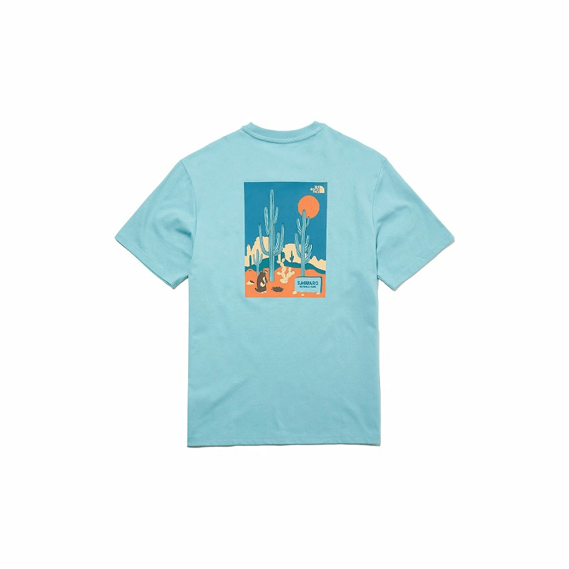 Футболка The North Face eco T