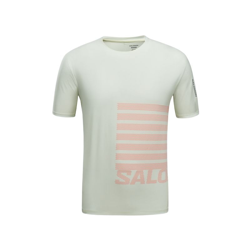 Футболка Salomon Sense Aero SS T