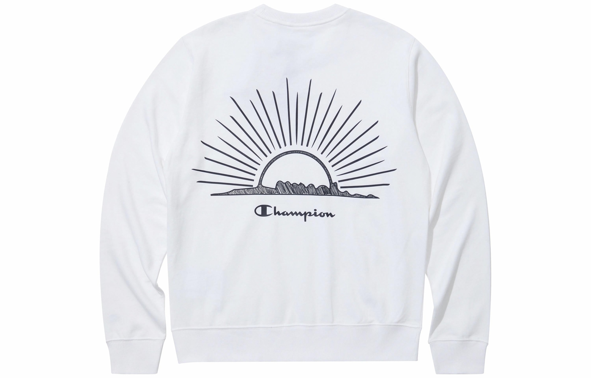Худи Champion Rochester Pullover Sweatshirt