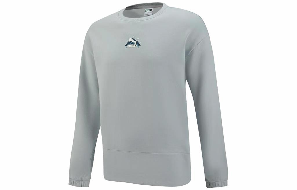 Худи Puma Logo