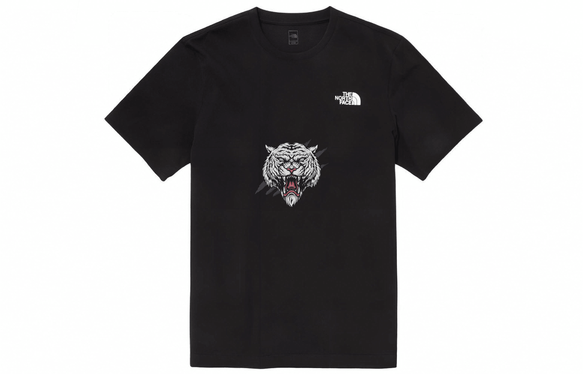 Футболка The North Face YXYY T