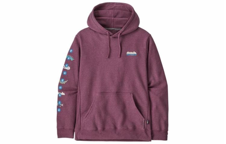 Patagonia Fitz Roy Wild Uprisal Hoody Logo — фото 5