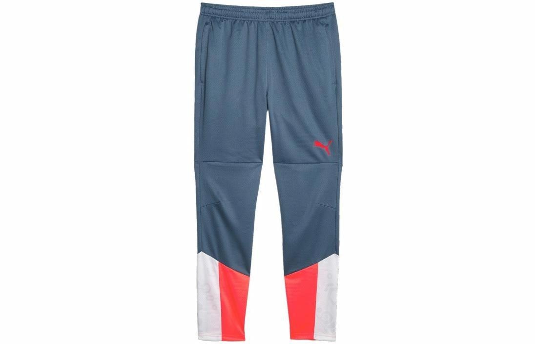 Puma Individualcup Training Pants