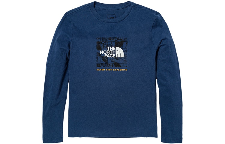 Футболка The North Face LogoT