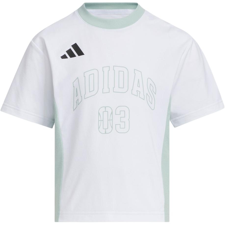 Футболка Adidas T Climacool
