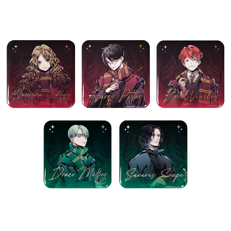 Harry Potter House Robe Series Badge